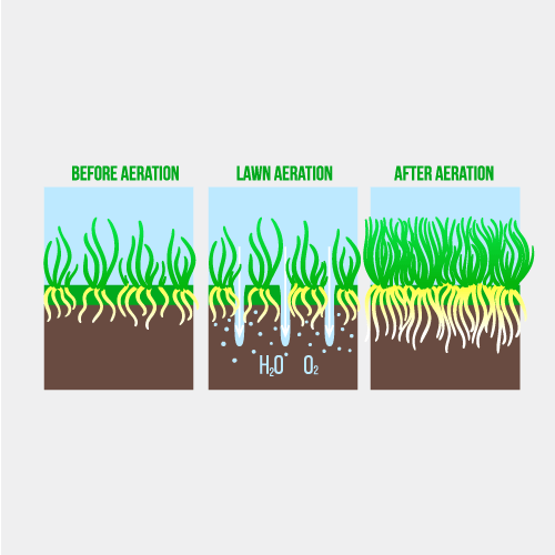 Image showing the benefits of garden aerating